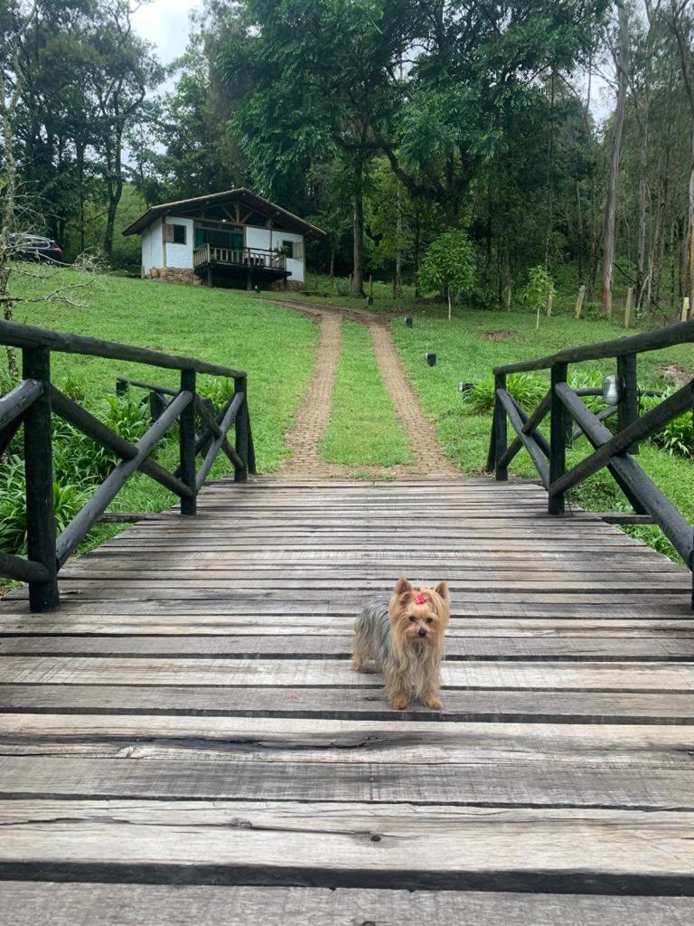 Chale Opucv Villa Gonçalves Dış mekan fotoğraf